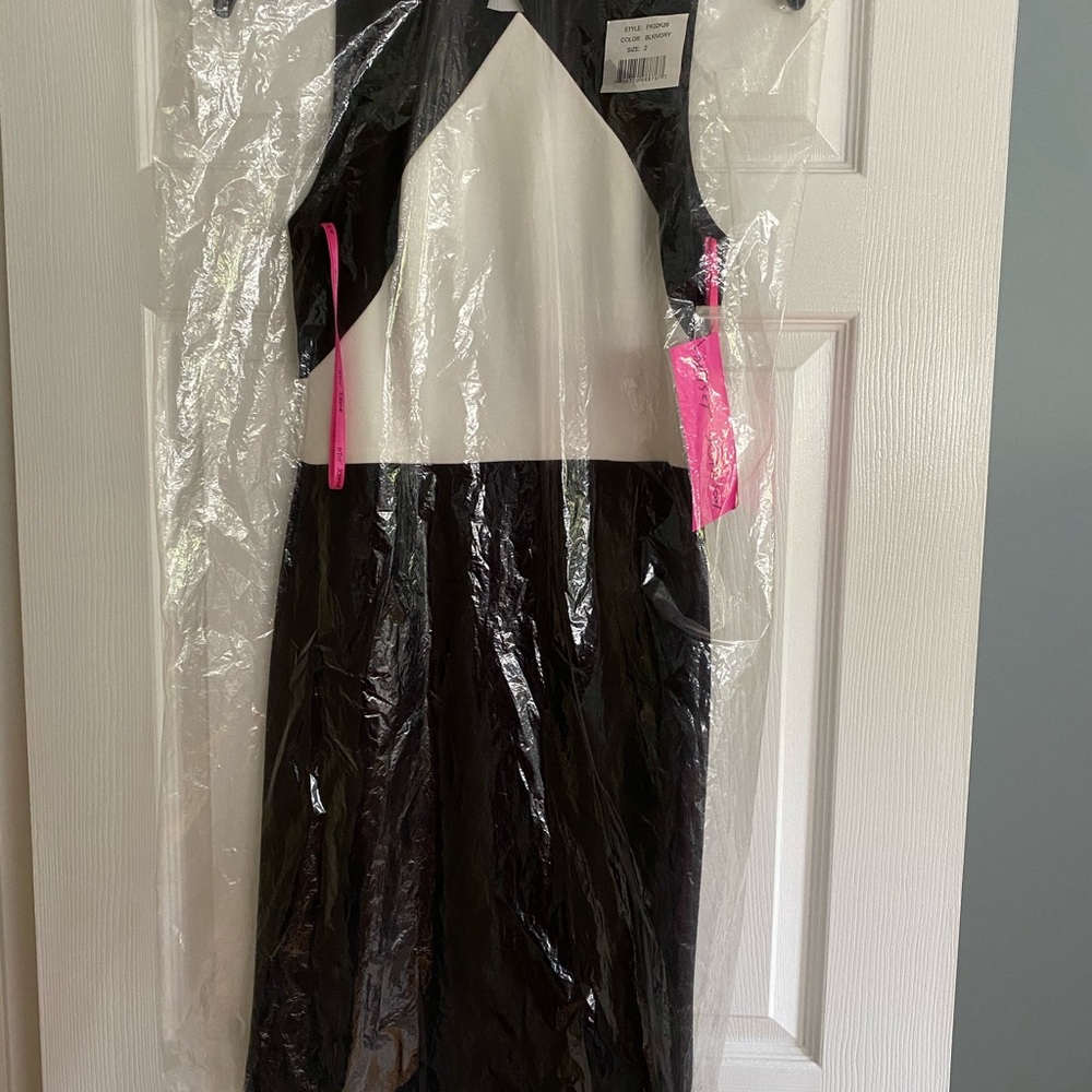 New Dress - Picture 5 of 6